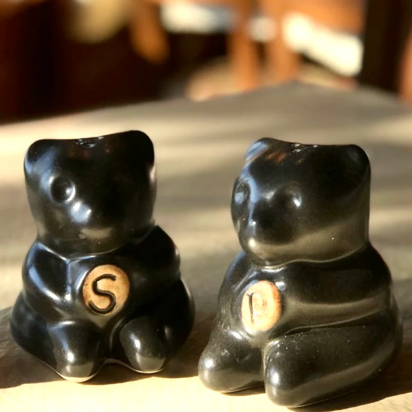 Salt and Pepper Bears Gift Set - Image 2