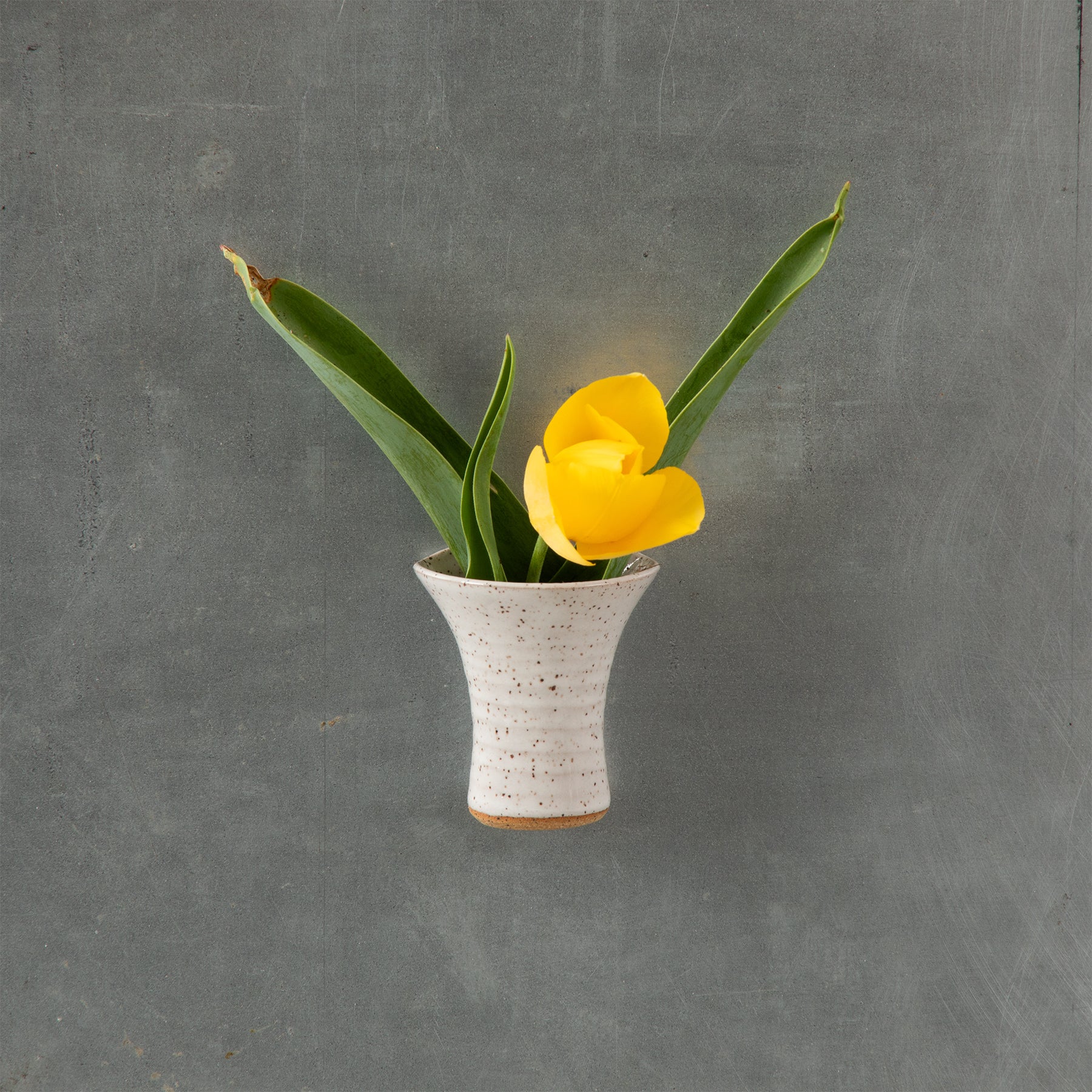 Magnet Vase